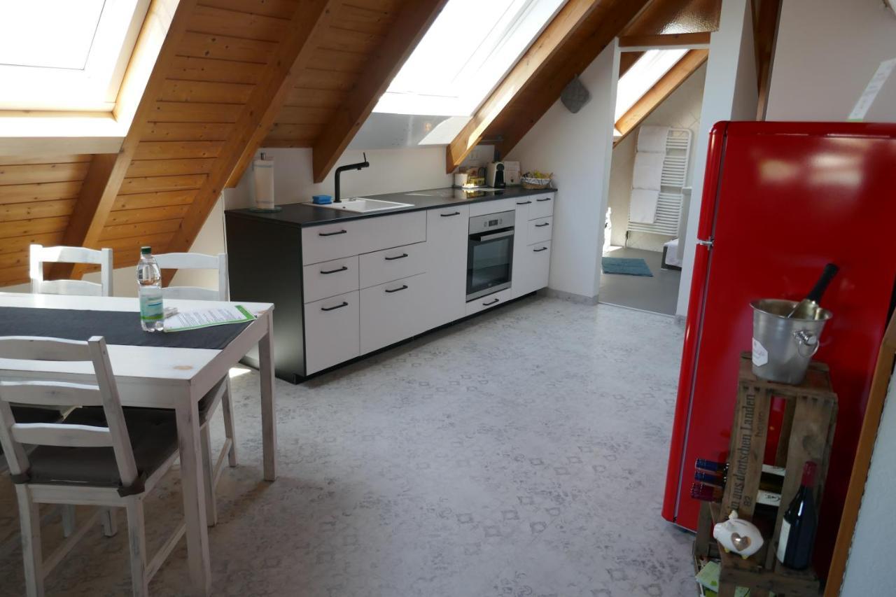 Moderne 2 Zi - Fewo Weinbergliebe Am Tuniberg Zwischen Freiburg Und Frankreich Merdingen Екстериор снимка